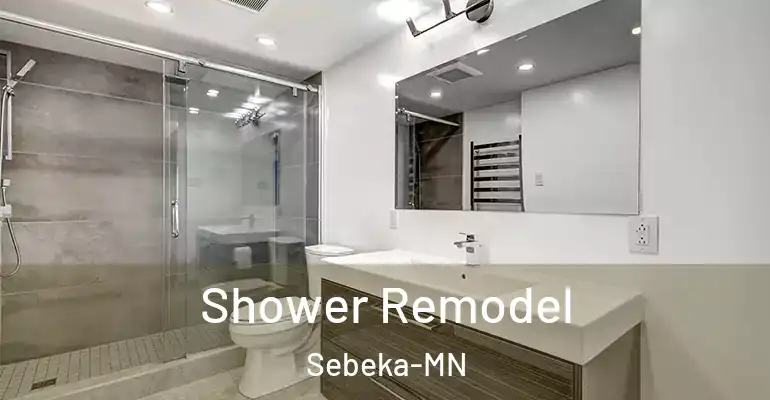 inner Bathroom imggen Shower Remodel Sebeka-MN