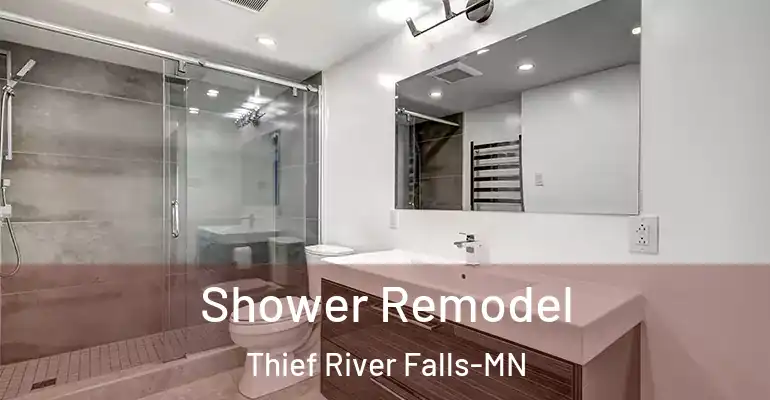 inner Bathroom imggen Shower Remodel Thief River Falls-MN