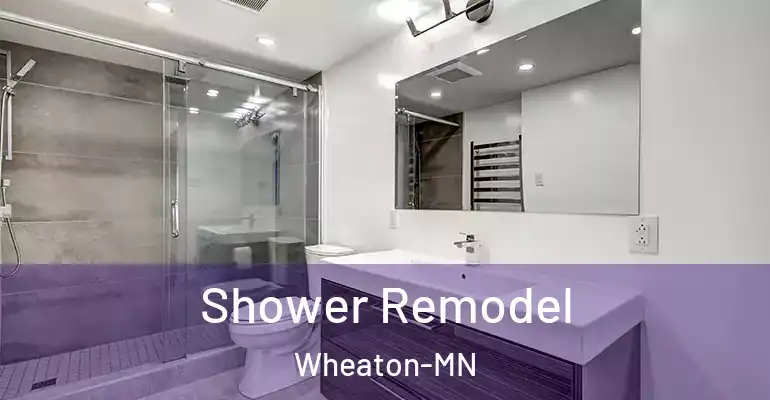inner Bathroom imggen Shower Remodel Wheaton-MN