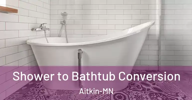 inner Bathroom imggen Shower to Bathtub Conversion Aitkin-MN