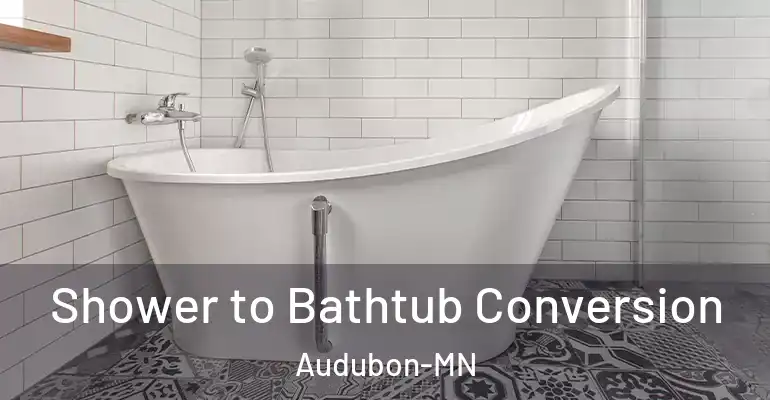 inner Bathroom imggen Shower to Bathtub Conversion Audubon-MN