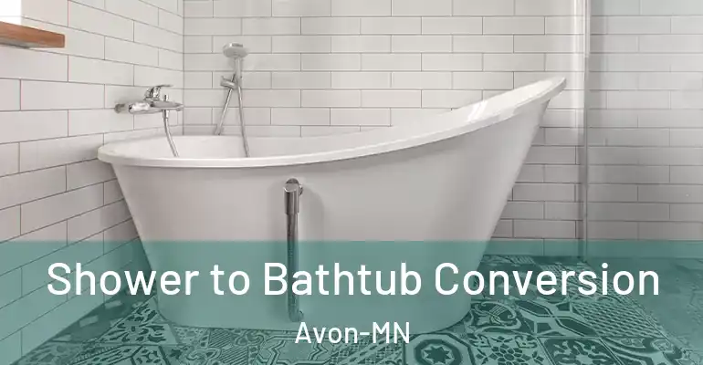 inner Bathroom imggen Shower to Bathtub Conversion Avon-MN
