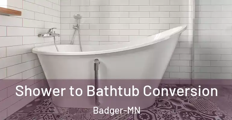 inner Bathroom imggen Shower to Bathtub Conversion Badger-MN