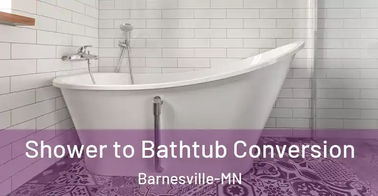 inner Bathroom imggen Shower to Bathtub Conversion Barnesville-MN