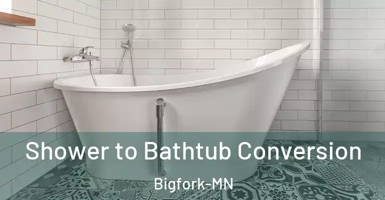 inner Bathroom imggen Shower to Bathtub Conversion Bigfork-MN