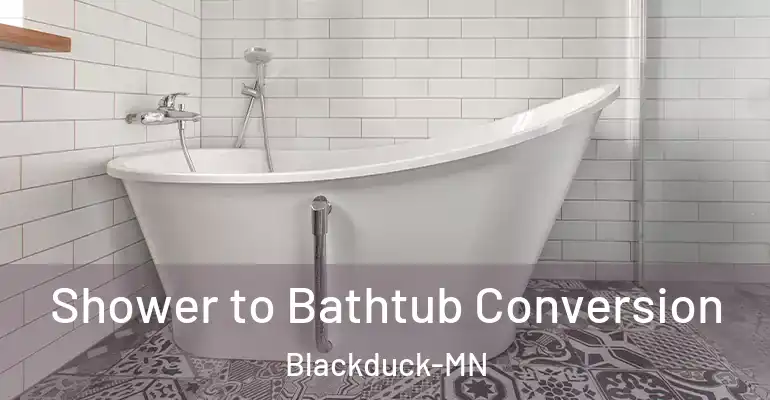 inner Bathroom imggen Shower to Bathtub Conversion Blackduck-MN