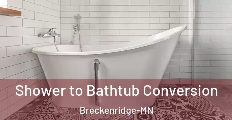 inner Bathroom imggen Shower to Bathtub Conversion Breckenridge-MN