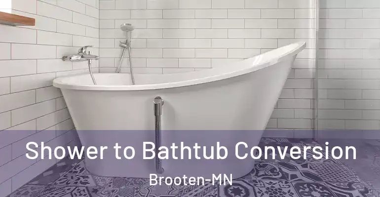 inner Bathroom imggen Shower to Bathtub Conversion Brooten-MN