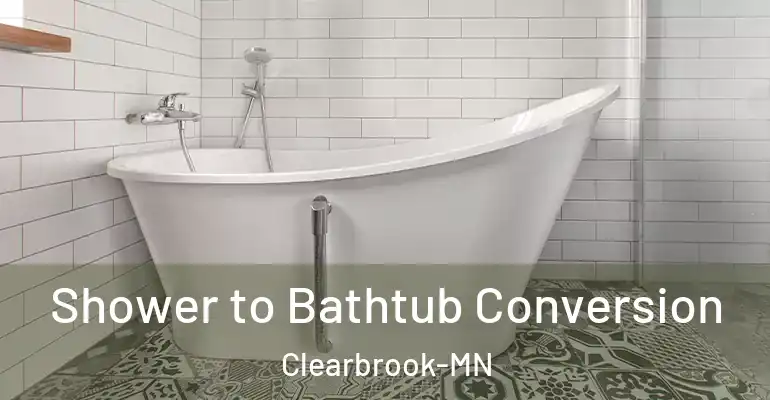 inner Bathroom imggen Shower to Bathtub Conversion Clearbrook-MN