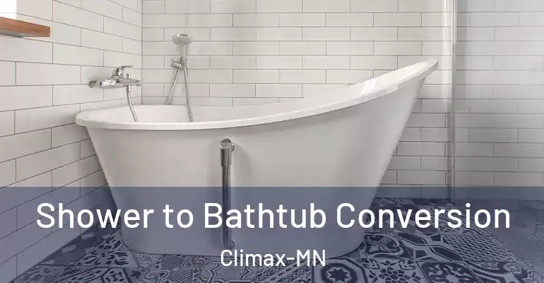 inner Bathroom imggen Shower to Bathtub Conversion Climax-MN