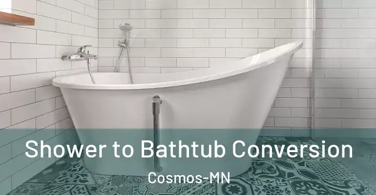 inner Bathroom imggen Shower to Bathtub Conversion Cosmos-MN