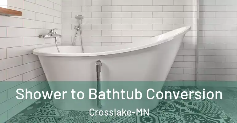 inner Bathroom imggen Shower to Bathtub Conversion Crosslake-MN