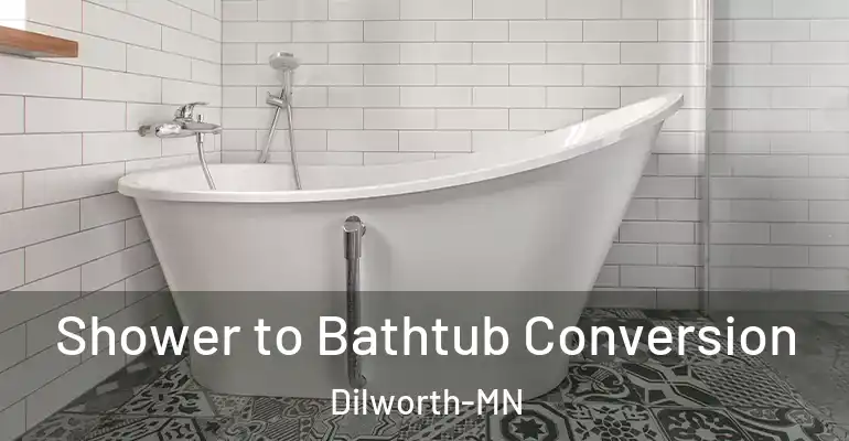 inner Bathroom imggen Shower to Bathtub Conversion Dilworth-MN