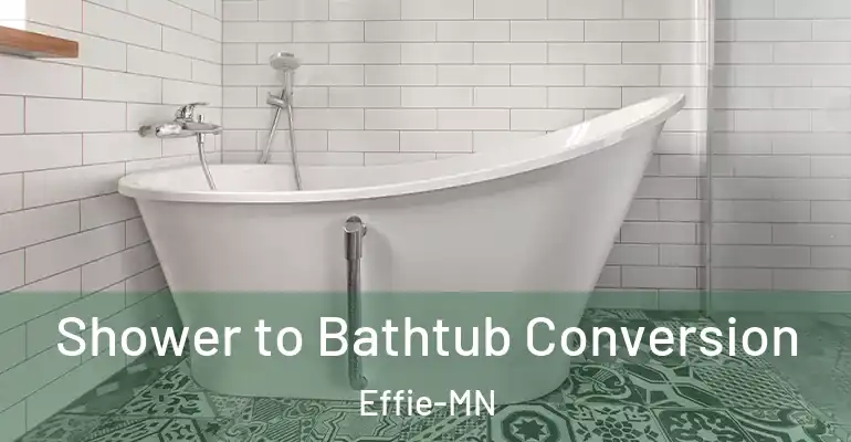 inner Bathroom imggen Shower to Bathtub Conversion Effie-MN