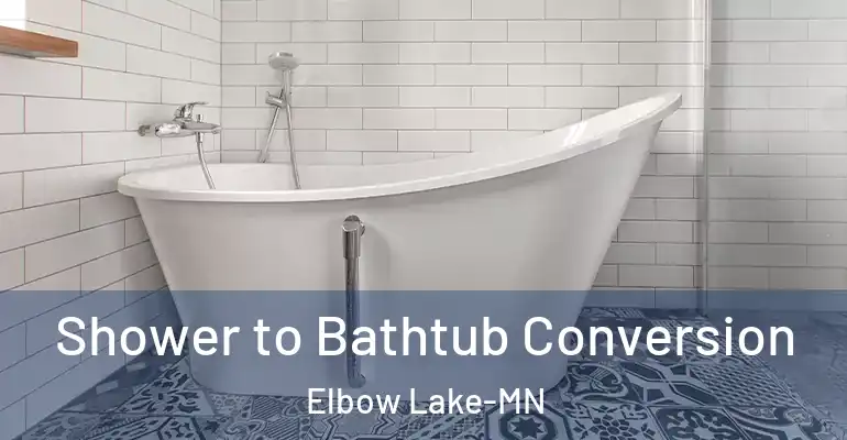 inner Bathroom imggen Shower to Bathtub Conversion Elbow Lake-MN