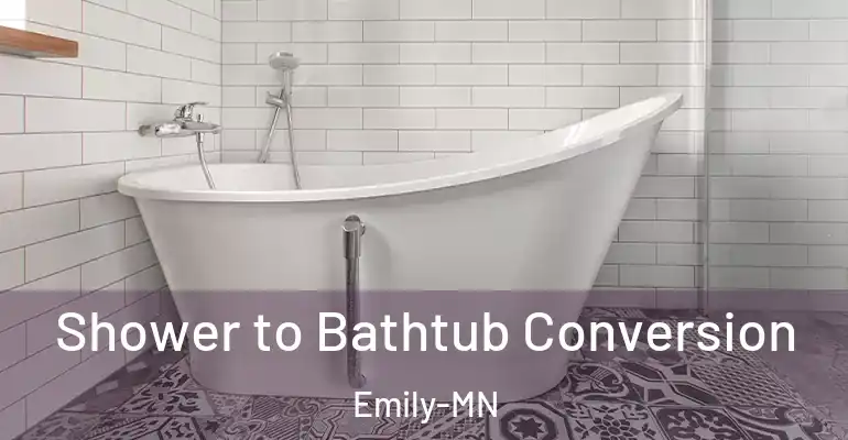 inner Bathroom imggen Shower to Bathtub Conversion Emily-MN