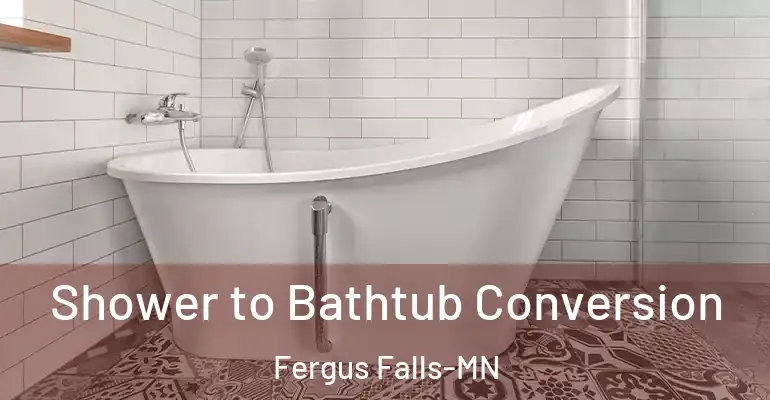 inner Bathroom imggen Shower to Bathtub Conversion Fergus Falls-MN