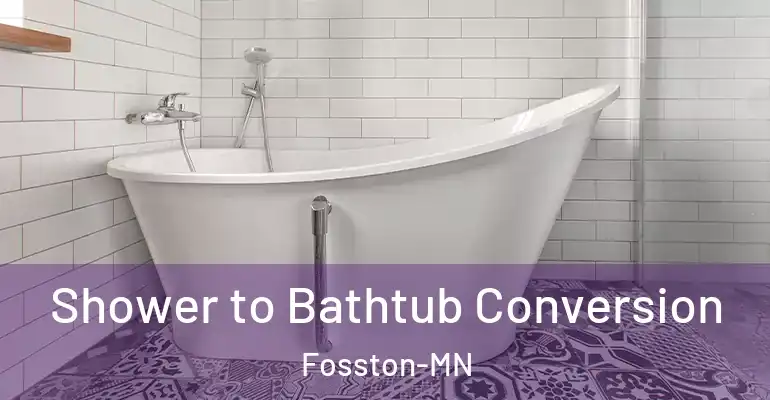inner Bathroom imggen Shower to Bathtub Conversion Fosston-MN