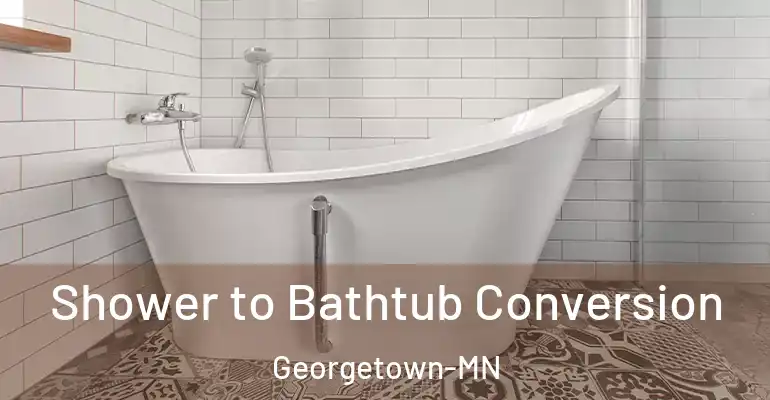 inner Bathroom imggen Shower to Bathtub Conversion Georgetown-MN
