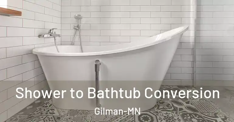 inner Bathroom imggen Shower to Bathtub Conversion Gilman-MN