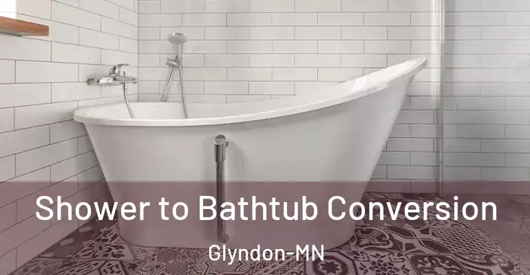 inner Bathroom imggen Shower to Bathtub Conversion Glyndon-MN