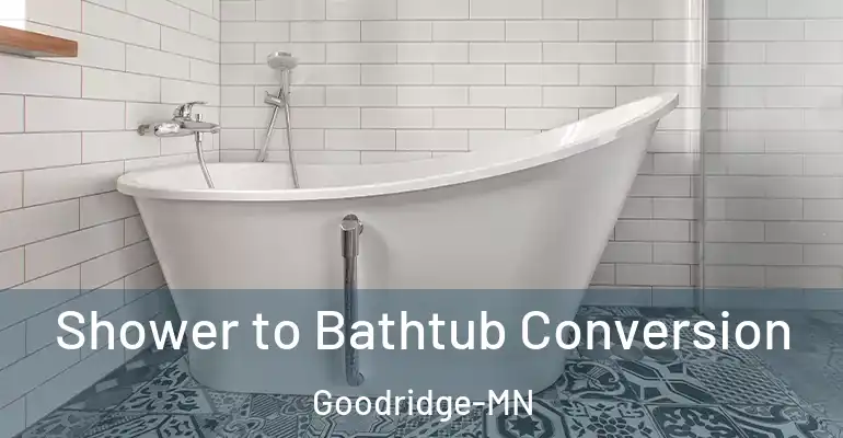 inner Bathroom imggen Shower to Bathtub Conversion Goodridge-MN