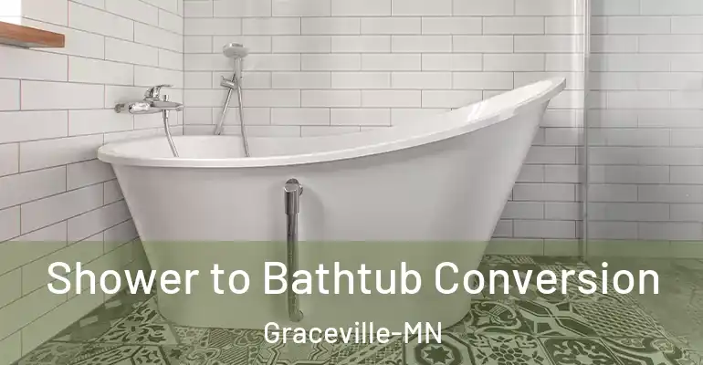inner Bathroom imggen Shower to Bathtub Conversion Graceville-MN