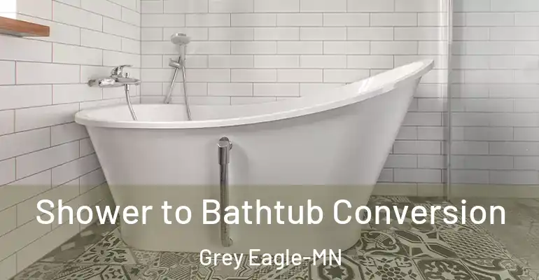 inner Bathroom imggen Shower to Bathtub Conversion Grey Eagle-MN