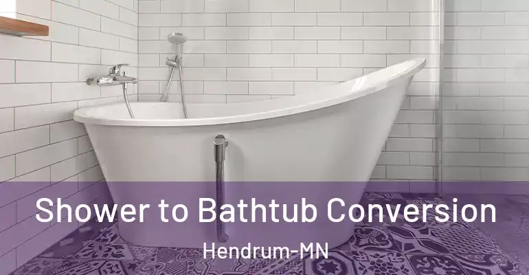 inner Bathroom imggen Shower to Bathtub Conversion Hendrum-MN