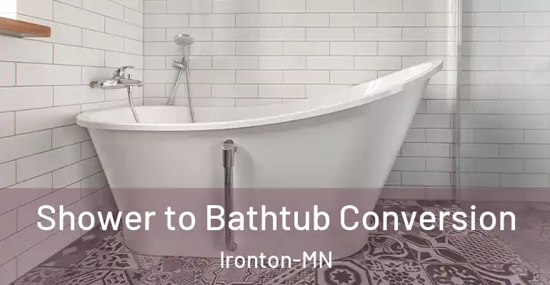 inner Bathroom imggen Shower to Bathtub Conversion Ironton-MN