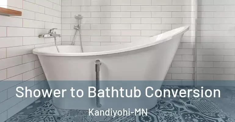 inner Bathroom imggen Shower to Bathtub Conversion Kandiyohi-MN