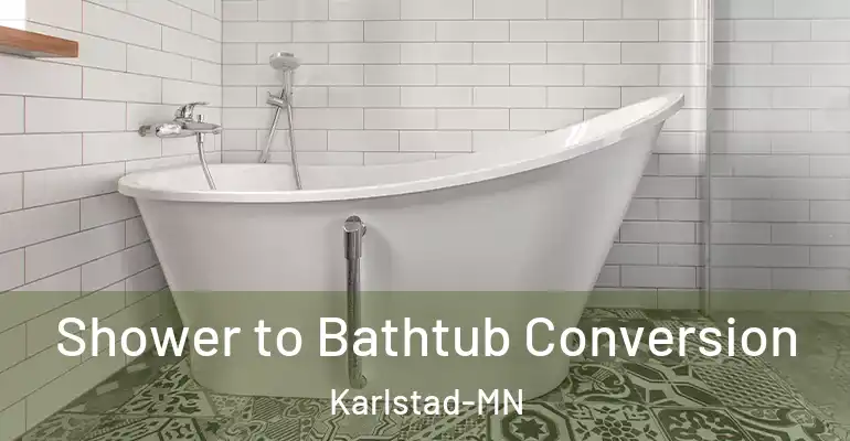inner Bathroom imggen Shower to Bathtub Conversion Karlstad-MN