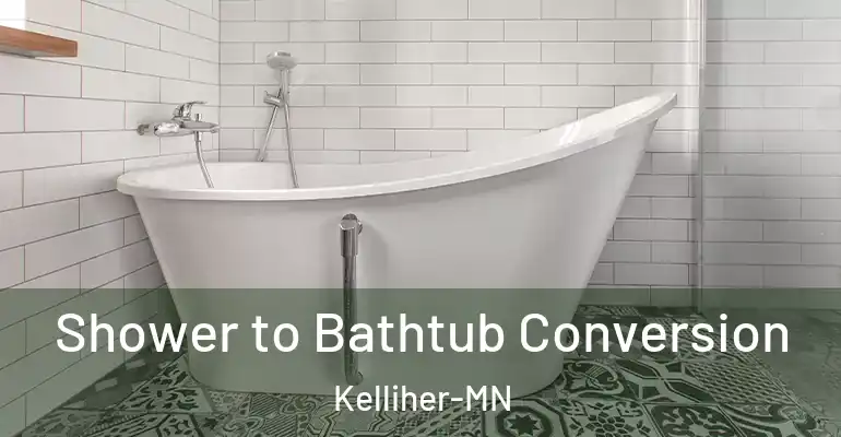 inner Bathroom imggen Shower to Bathtub Conversion Kelliher-MN