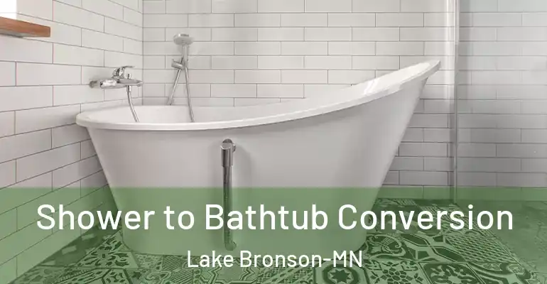 inner Bathroom imggen Shower to Bathtub Conversion Lake Bronson-MN