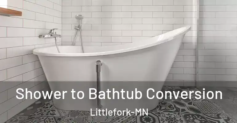 inner Bathroom imggen Shower to Bathtub Conversion Littlefork-MN