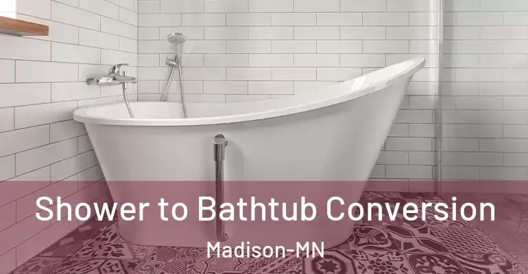 inner Bathroom imggen Shower to Bathtub Conversion Madison-MN