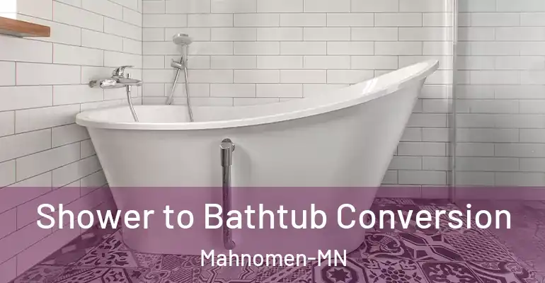 inner Bathroom imggen Shower to Bathtub Conversion Mahnomen-MN