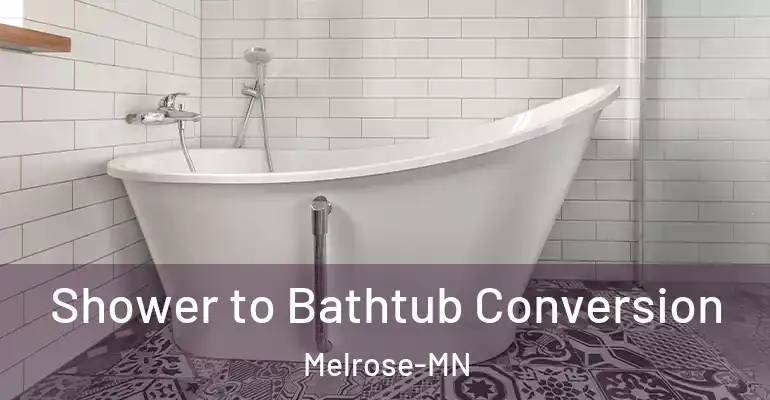 inner Bathroom imggen Shower to Bathtub Conversion Melrose-MN