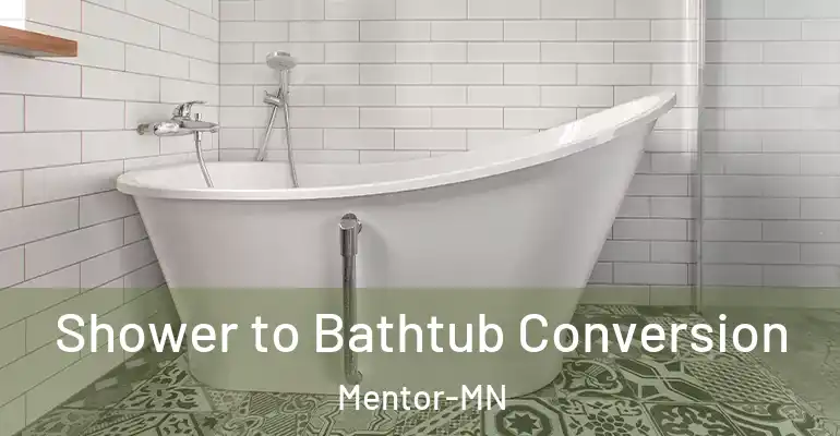 inner Bathroom imggen Shower to Bathtub Conversion Mentor-MN