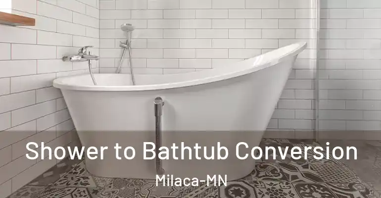 inner Bathroom imggen Shower to Bathtub Conversion Milaca-MN