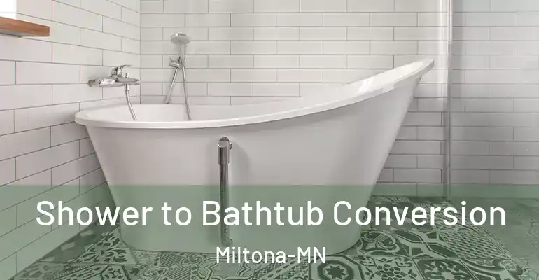 inner Bathroom imggen Shower to Bathtub Conversion Miltona-MN