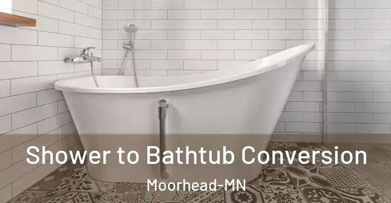 inner Bathroom imggen Shower to Bathtub Conversion Moorhead-MN