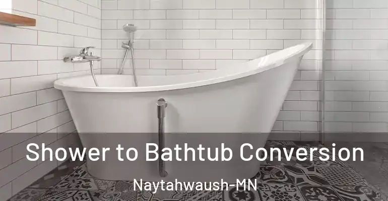 inner Bathroom imggen Shower to Bathtub Conversion Naytahwaush-MN
