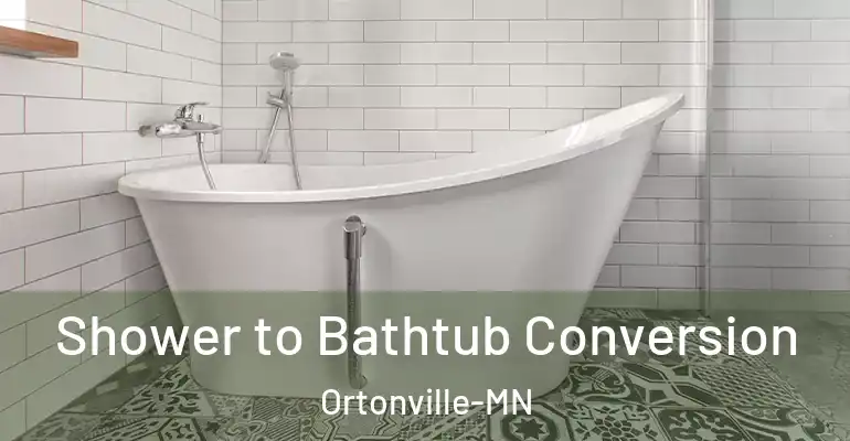 inner Bathroom imggen Shower to Bathtub Conversion Ortonville-MN