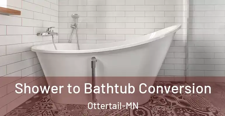 inner Bathroom imggen Shower to Bathtub Conversion Ottertail-MN