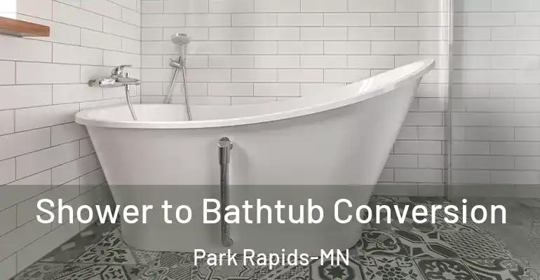inner Bathroom imggen Shower to Bathtub Conversion Park Rapids-MN
