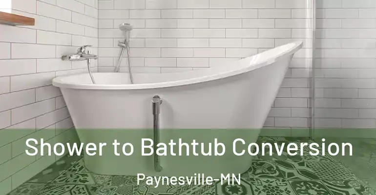 inner Bathroom imggen Shower to Bathtub Conversion Paynesville-MN