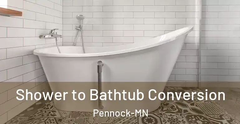 inner Bathroom imggen Shower to Bathtub Conversion Pennock-MN