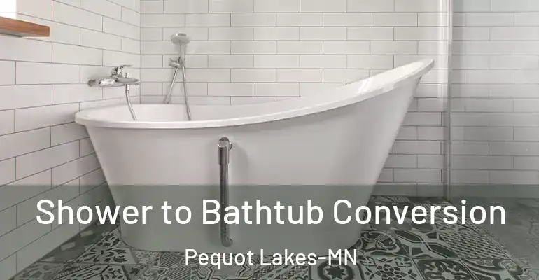 inner Bathroom imggen Shower to Bathtub Conversion Pequot Lakes-MN