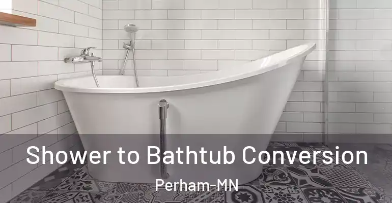 inner Bathroom imggen Shower to Bathtub Conversion Perham-MN
